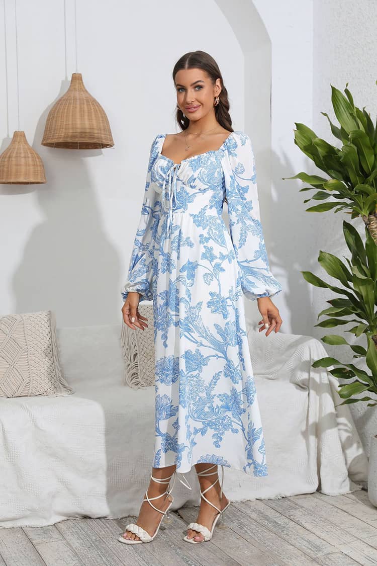 Robe Champêtre Longue  Et Avec Manche