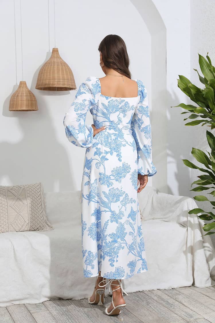 Robe Champêtre Longue  Et Avec Manche